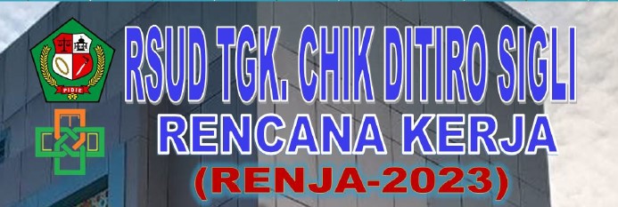 RENCANA KERJA ( RENJA ) RSUD TGK. CHIK DITIRO SIGLI TAHUN 2023